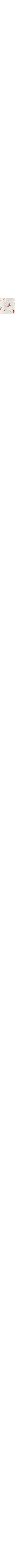 Blanc à motifs
