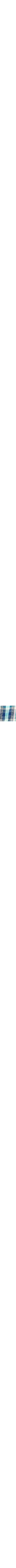 Bleu à motifs
