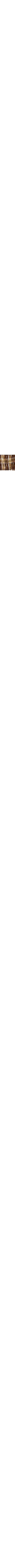 Brun à motifs