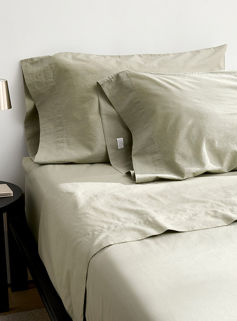 Solid Pure Organic Cotton Pillowcases Set Of 2 144-Thread-Count