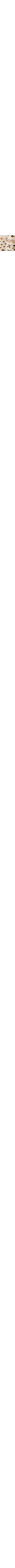 Patterned Ecru
