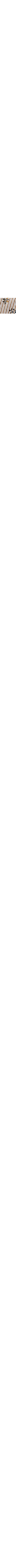 Blanc à motifs