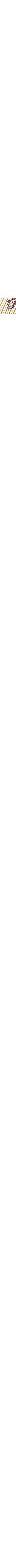 Blanc à motifs