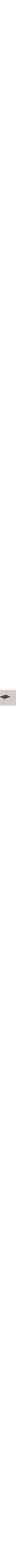 Assorted white