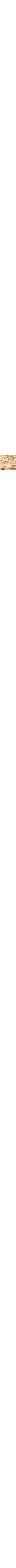 Brun à motifs