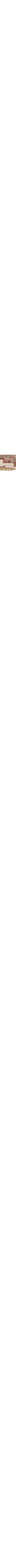 Brun à motifs
