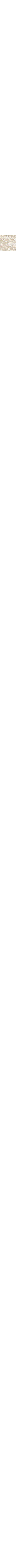 Écru à motifs