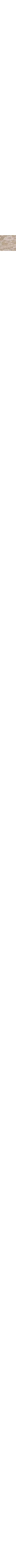 Écru à motifs