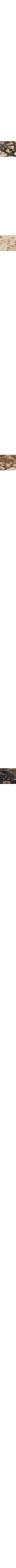 Bleu à motifs