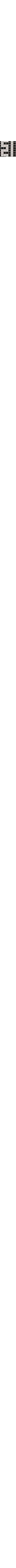 Noir à motifs