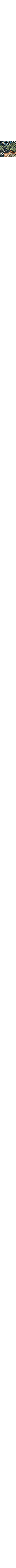 Noir à motifs