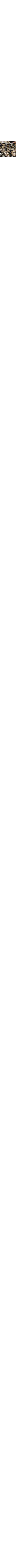 Noir à motifs