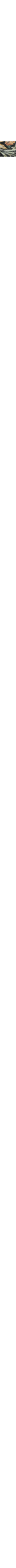 Noir à motifs