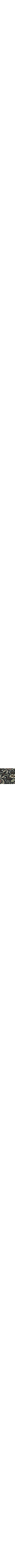 Bleu à motifs