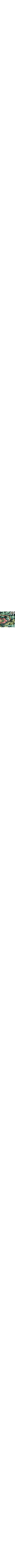Vert à motifs