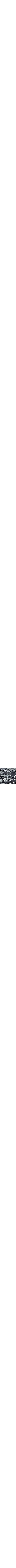 Bleu à motifs