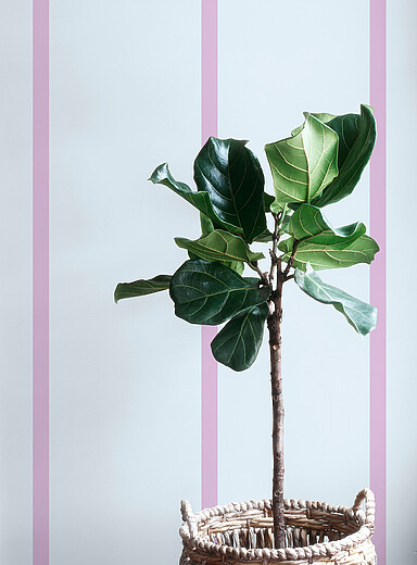 Slim self-adhesive wallpaper strip