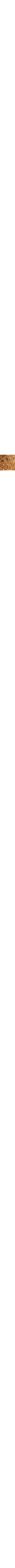 Brun à motifs