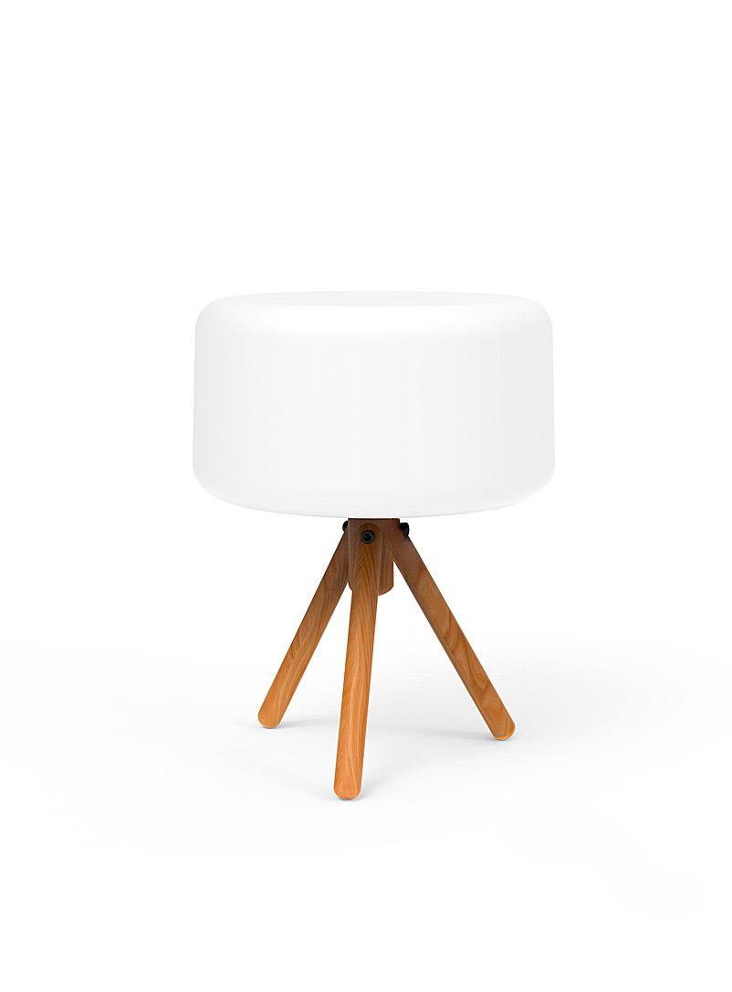 Chloe indoor-outdoor table lamp product image 2