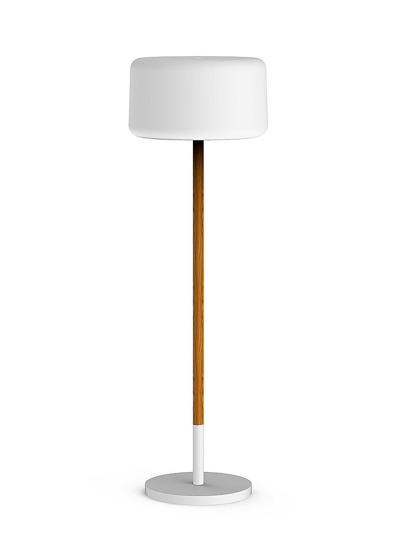 Chloe indoor-outdoor floor lamp product image 2