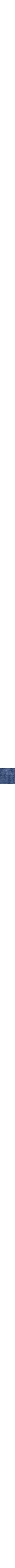 Patterned Blue