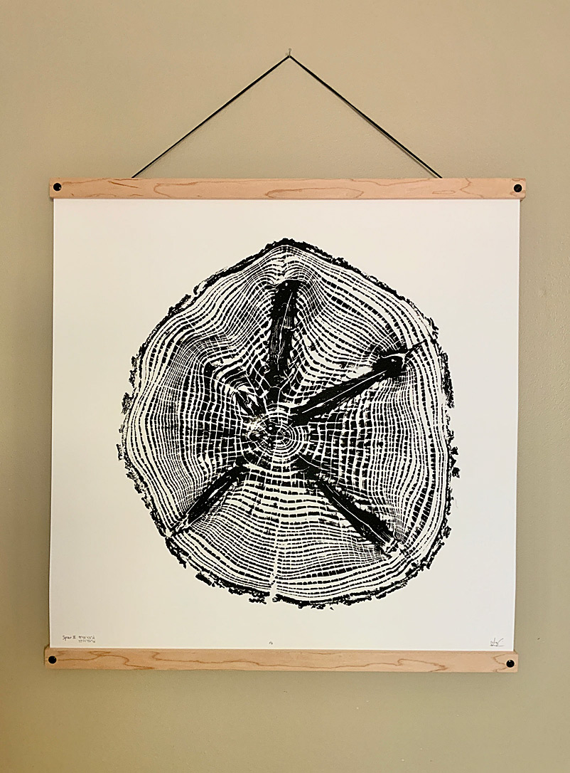 Nice Art People Black and White Spruce III tree ring art print 24 x 24 in