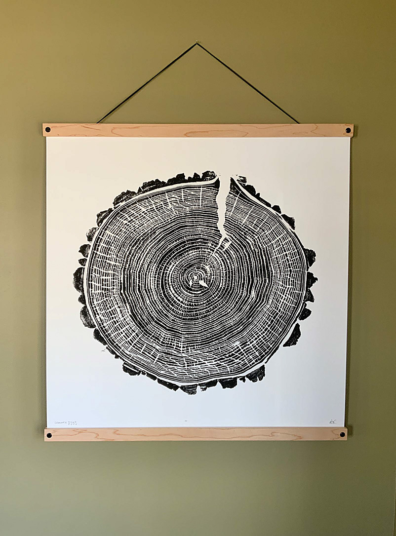 Nice Art People Black and White Cottonwood IV tree ring art print 24 x 24 in