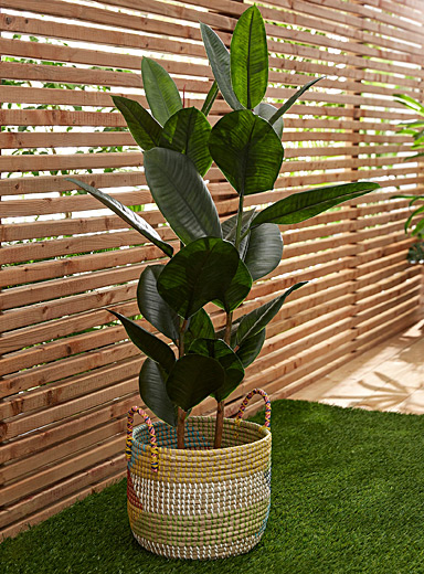 Artificial ficus green plant