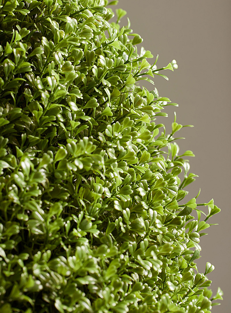 Simons Maison Green Boxwood cone imitation green plant
