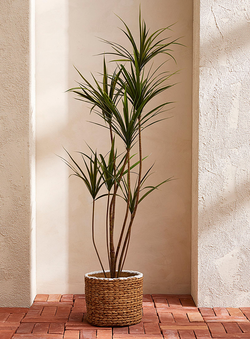 Simons Maison: La plante verte imitation yucca 122 cm de hauteur Vert foncé-mousse-olive