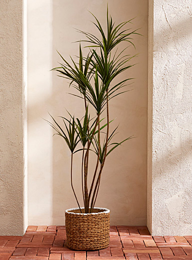 La plante verte imitation yucca 122 cm de hauteur