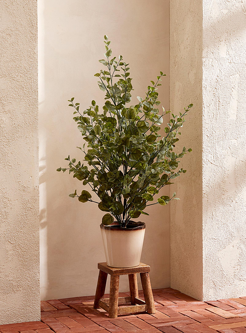 Simons Maison: L'arbuste imitation eucalyptus 91,5 cm de hauteur Vert
