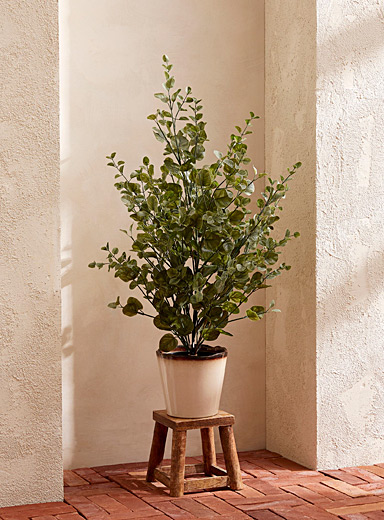L'arbuste imitation eucalyptus 91,5 cm de hauteur
