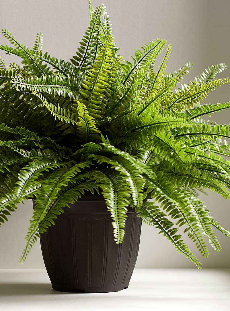Artificial boston fern green plant product image 2
