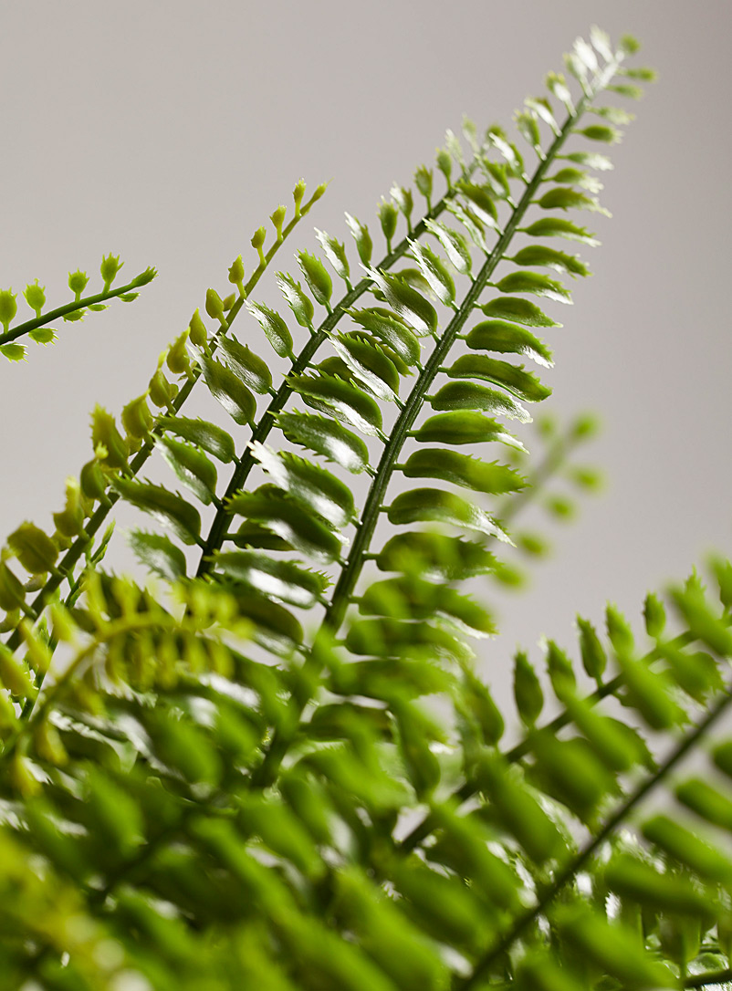 Artificial boston fern green plant product image 3