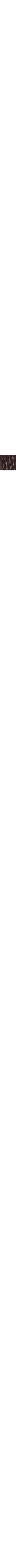 Brun à motifs