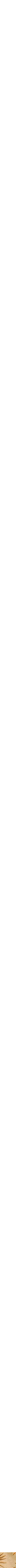 Assorti