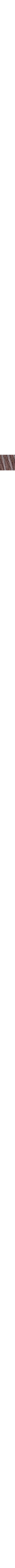 Brun à motifs