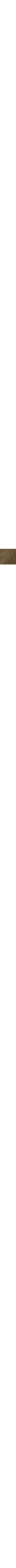 Kaki