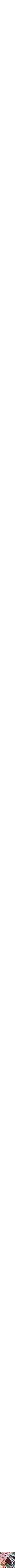 Assorti