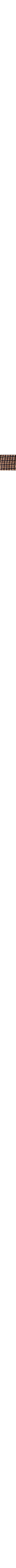 Brun à motifs
