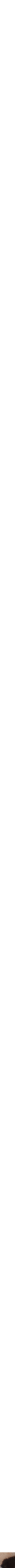 Assorti