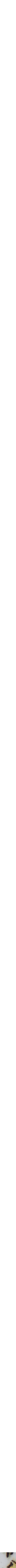 Assorti