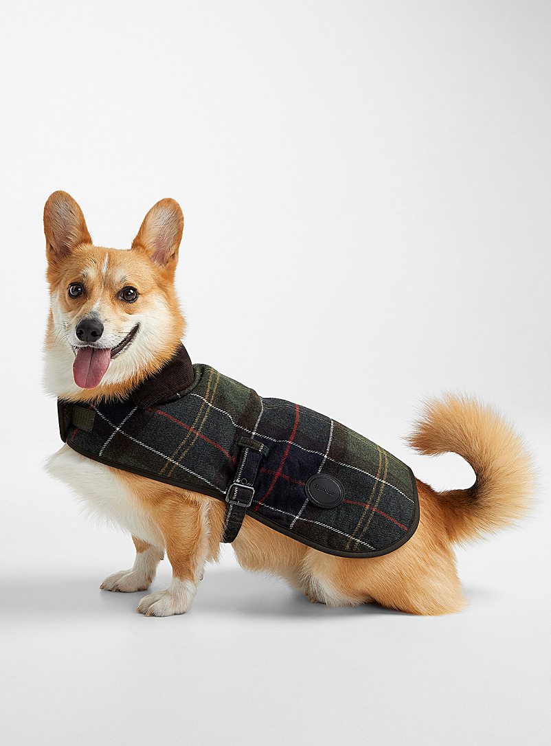 Barbour: Le manteau pour chien tartan touche de laine Vert vif-irlandais-émerau pour homme