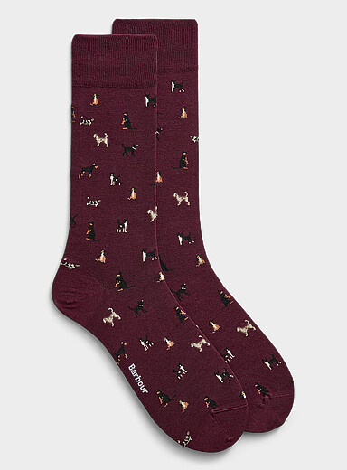 La chaussette petits chiens