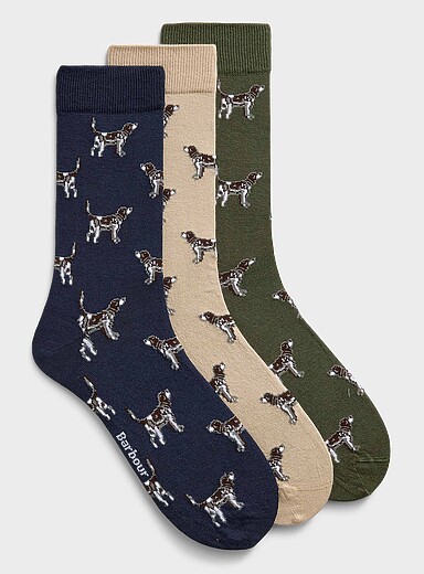 Les chaussettes chien de chasse Emballage de 3