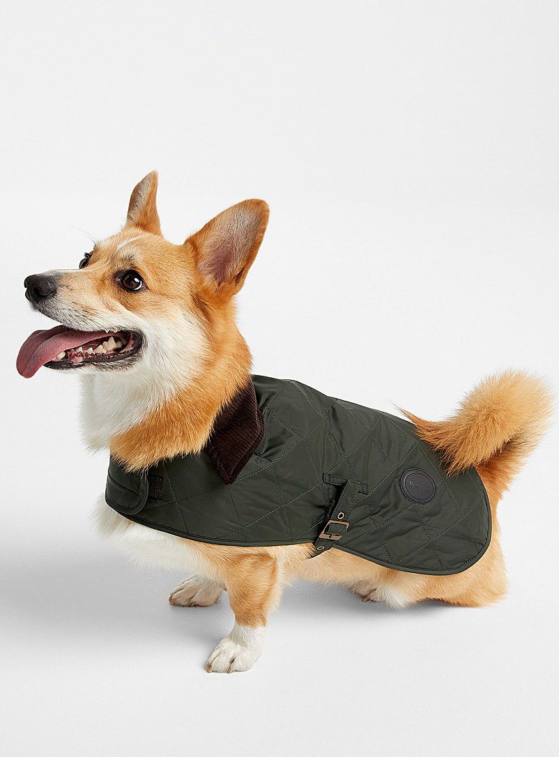Barbour Green Stitched diamond dog jacket for men