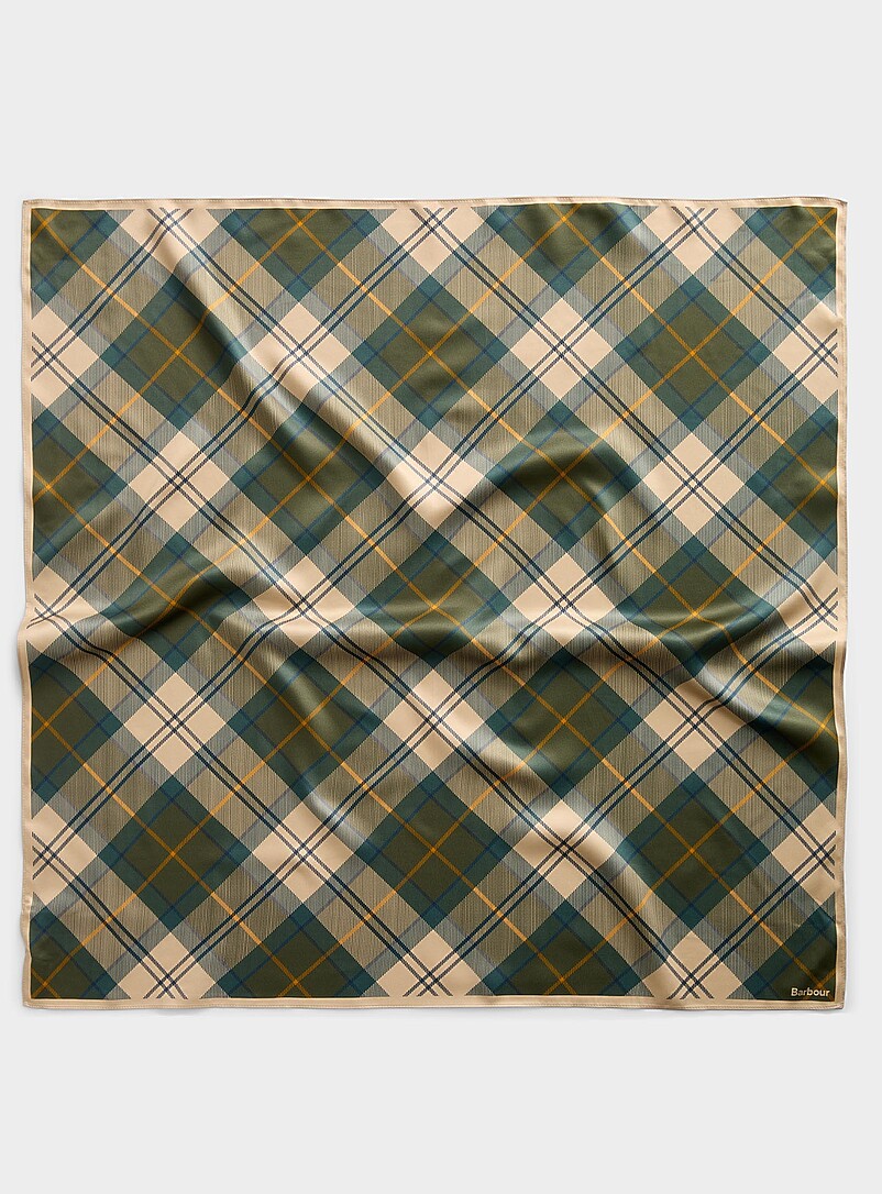 Green And Beige Tartan Satiny Scarf