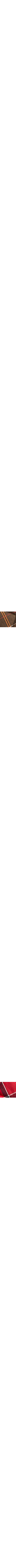 Vert à motifs