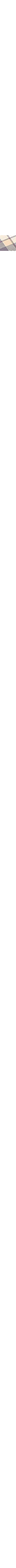 Patterned Ecru